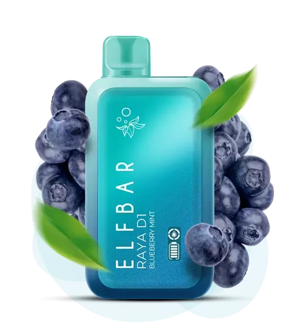 ELF BAR RAYA D1 - Blueberry Mint (5% nic)