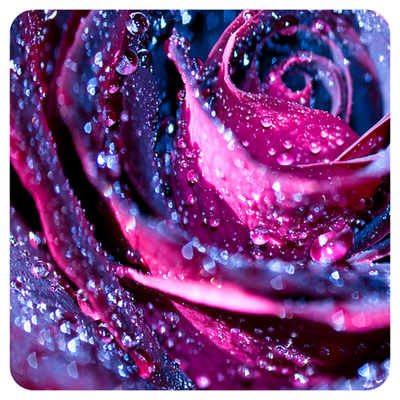 Практический Интенсив «Мастерство Регенерации и Изобилия». Часть 24