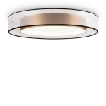 Потолочный светильник Freya ZOTICUS FR6005CL-L48G