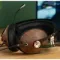 Meze Boom Mic Black