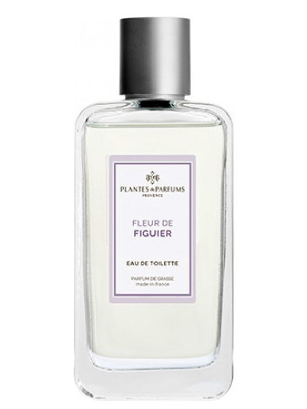Plantes and Parfums Fleur de Figuier