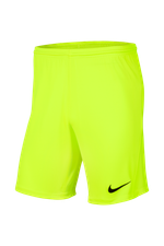 Шорты Nike Dry Park III