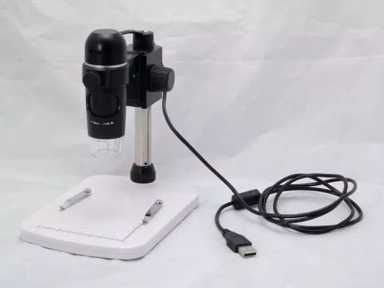 Цифровая лаборатория по биологии