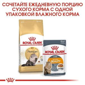 Сухой корм Royal Canin Persian Adult для взрослых персидских кошек от 12 месяцев