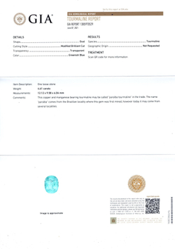 Турмалин Параиба, Овал, 1 шт. / 4,61 карат, Мозамбик