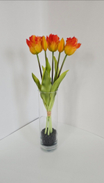 Тюльпаны бахромчатые / Арт 2543