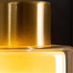 Настенный светильник Arte Lamp LEO A7027AP-1BK