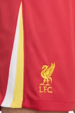 Шорты Nike Liverpool FC 24/25 Home Stadium