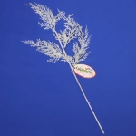 Ветка хвойная «Морозный иней» 50 см, Белый