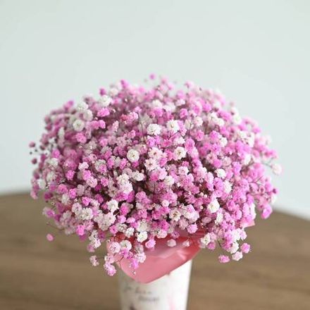 Композиция «Букет белых диантусов» — розовая гипсофила в стаканчике