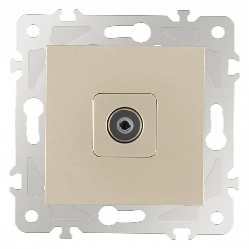 ТВ-розетка без рамки Arte Milano am-203 203.43-1.shampan