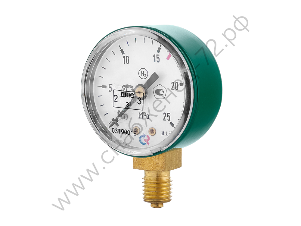 ТМ—210Р.00(0.25 MПa) M12х1.5.2.5 N2