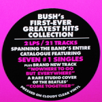 Bush / Loaded: The Greatest Hits 1994-2023 (Clear Vinyl)(2LP)