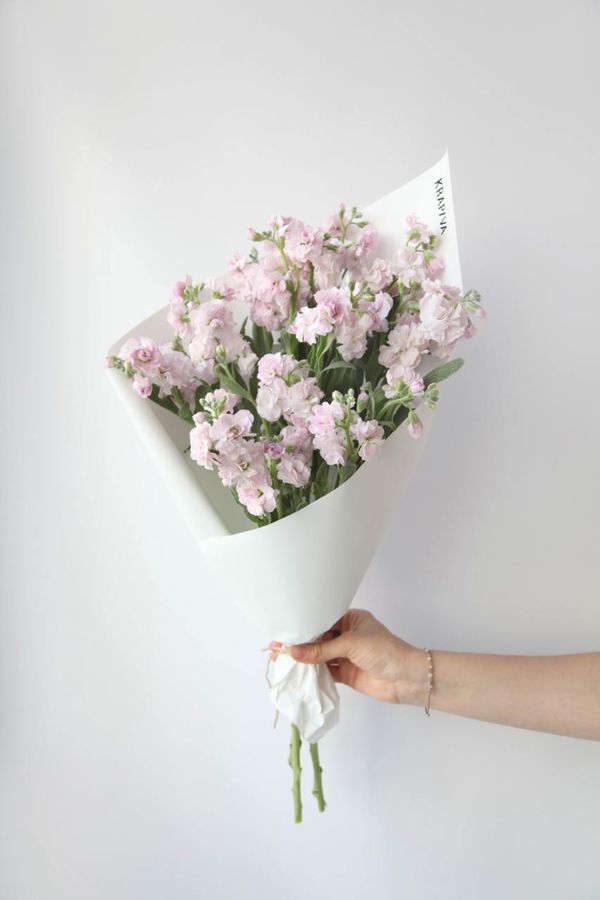 Монобукет Маттиола кустовая Pink – купить за 3300 руб в KRAP/VA