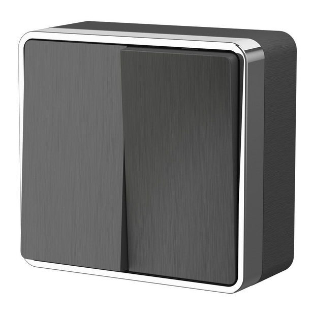 W5020004/ Электроустановочные изделия - Выключатель двухклавишный Gallant (графит рифленый)