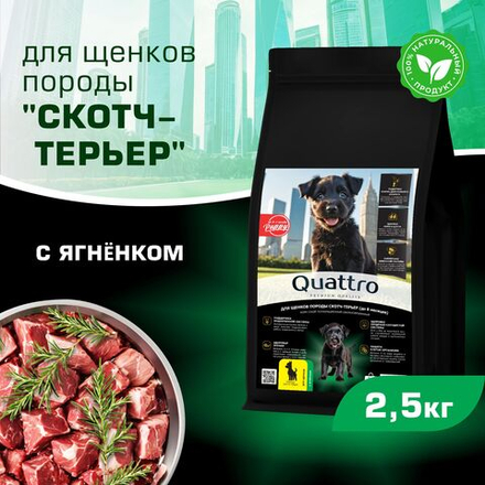 Корм сухой для щенков породы Скотч-терьер, премиум полнорационный комплекс, с ягненком, 2,5 кг, QUATTRO