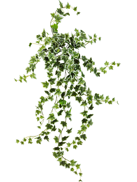 Искусственное растение Плющ Хедера пестрый 90см