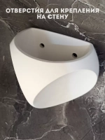 Настенное кашпо со мхом