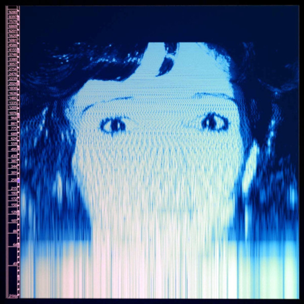 The Avalanches / We Will Always Love You (2LP)