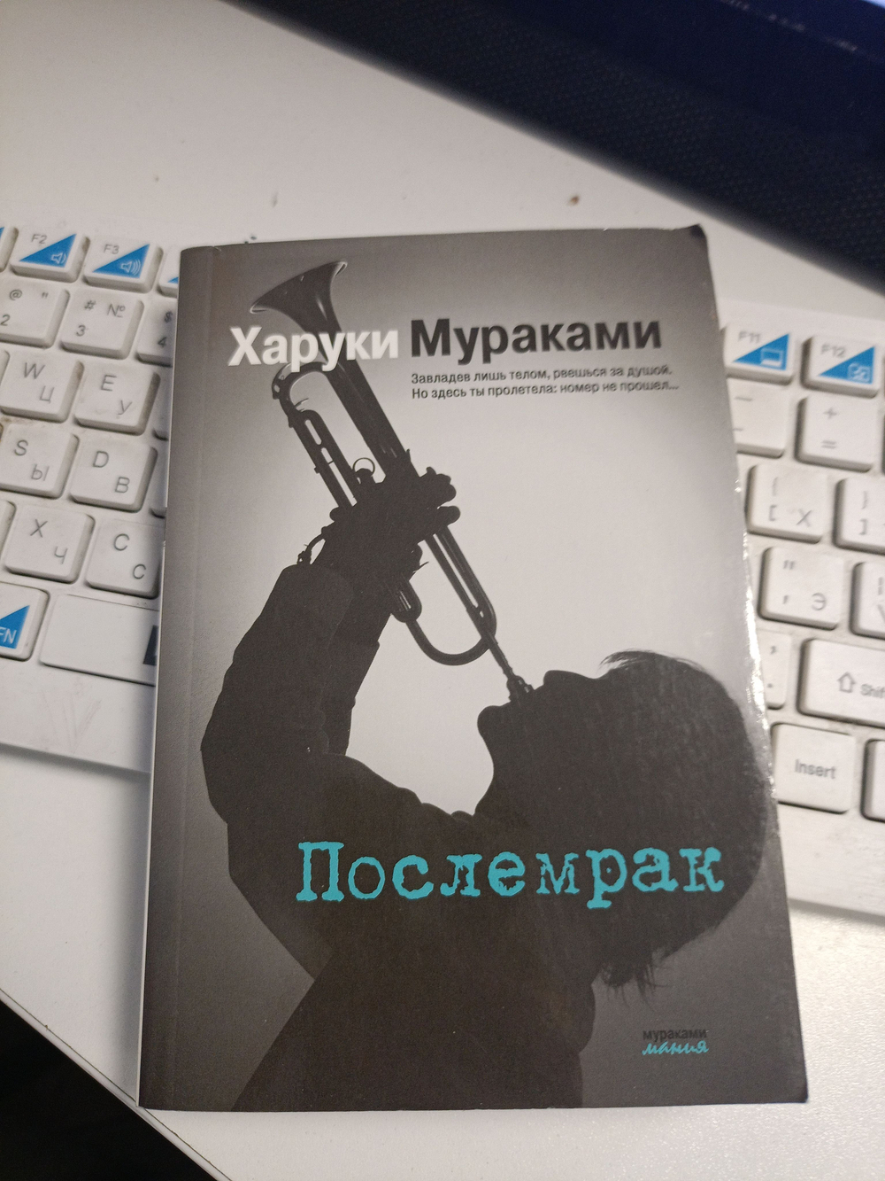 Послемрак (мягкая обложка)