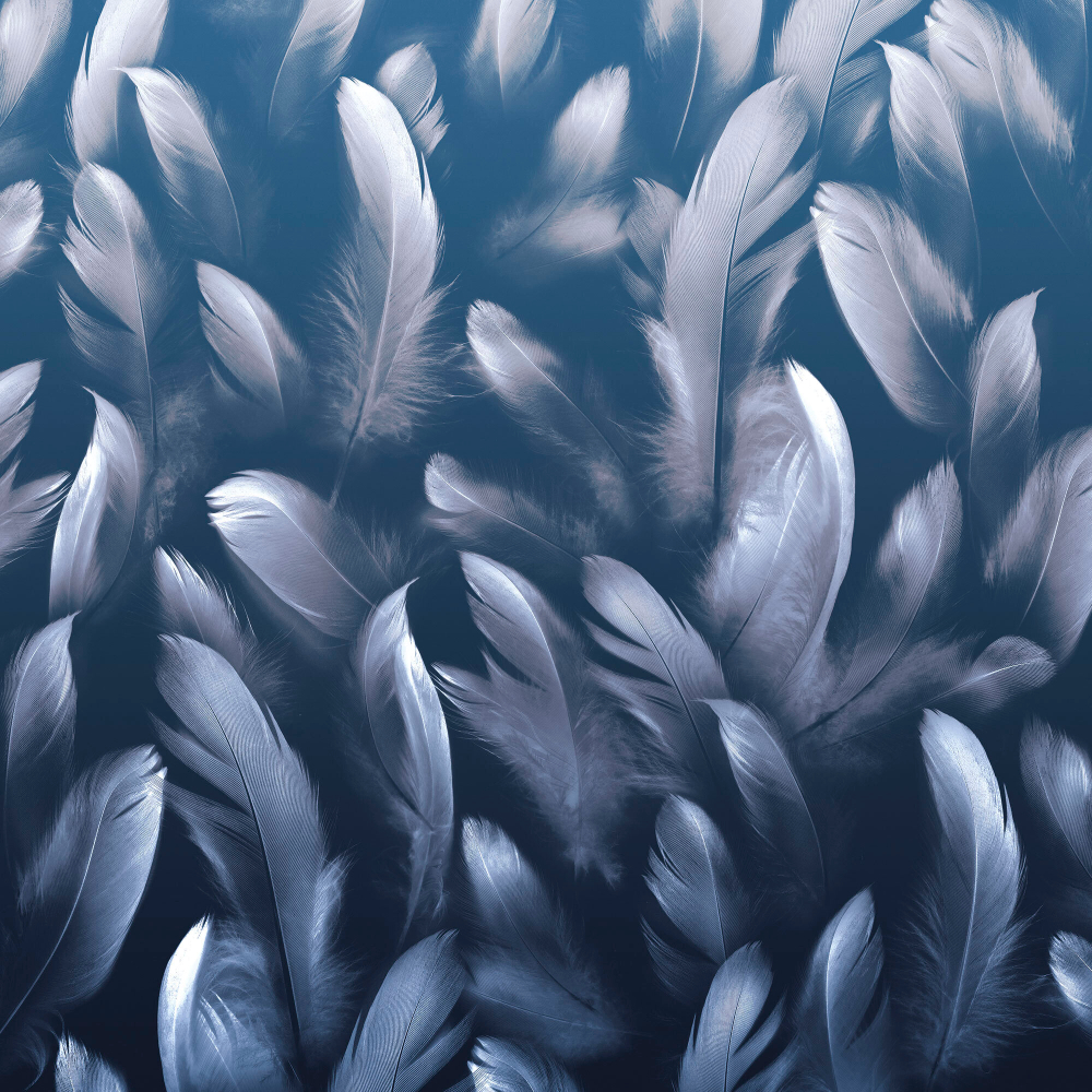 Коллекция Levity