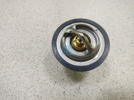 Термостат 80° ТС107-1306100-05