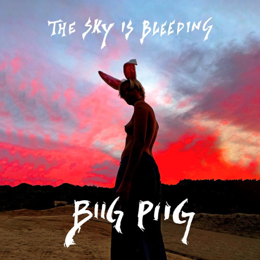 Biig Piig / The Sky Is Bleeding (12&quot; Vinyl EP)