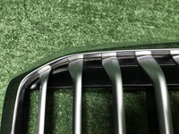 Решетка радиатора BMW X7 G07 (2019-2022)