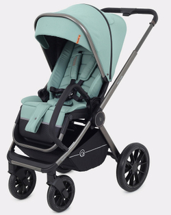 Детская коляска Rant Falcon 2 в 1 Green