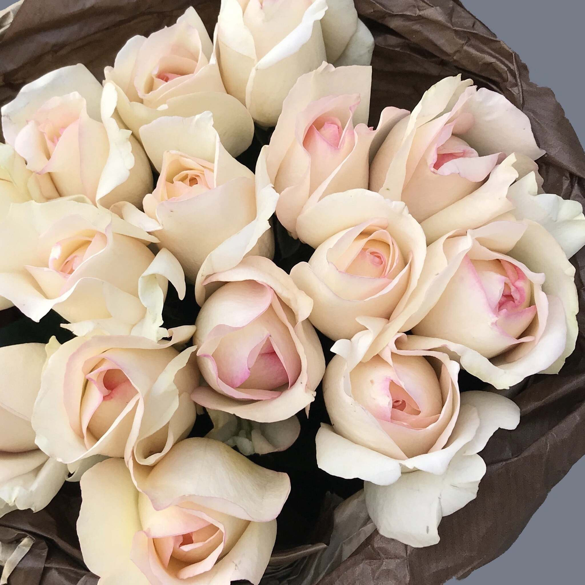 Крим Пьяже — букет элегантных пионовидных ароматных роз