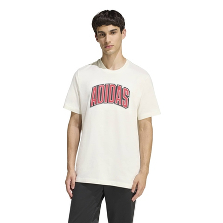 Футболка мужская ADIDAS M STAD COLLEG T OWHITE