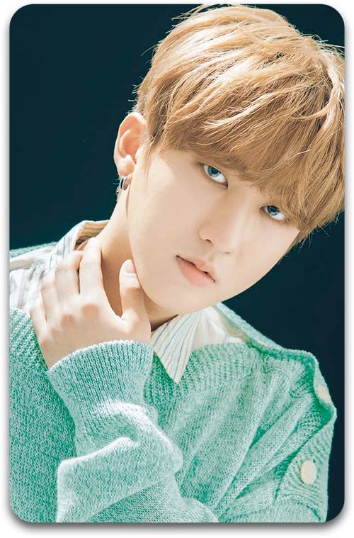 Карта / STRAY KIDS #3059