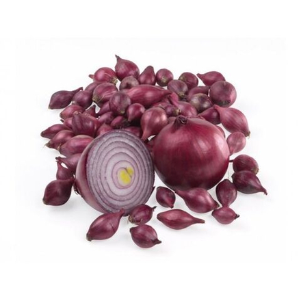 Лук-севок Кармен красный 0,5кг