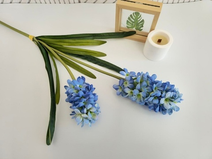 Гиацинт двойной / Арт 2181