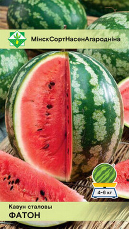 Арбуз "Фотон" 10шт, Россия.