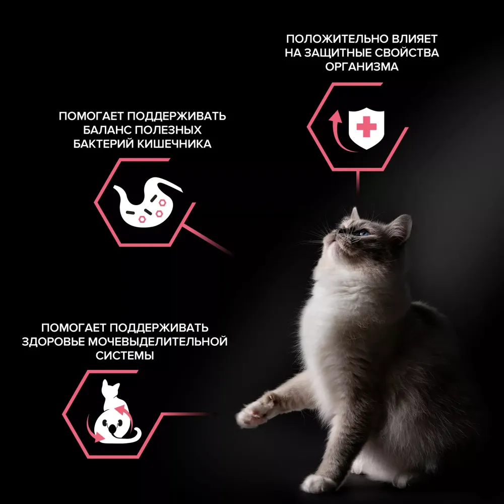 Сухой корм Pro Plan Nature Elements Sterilised для стерилизованных кошек с курицей Сухой корм Pro Plan Nature Elements Sterilised для стерилизованных кошек с курицей
