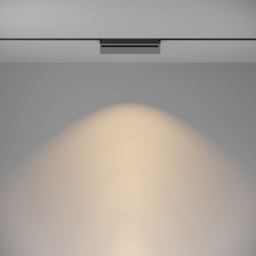 Накладной светильник Maytoni Basis Rot TR075-2-20W3K-B