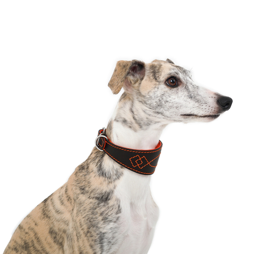 Ошейник DOGLEA LUXURY коричневый/оранжевый