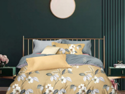 Постельное белье 2 спальное евро Asabella 1658-6