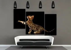 Модульная картина "Бенгальский котенок"