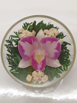 натуральные цветы в стекле, вакуум