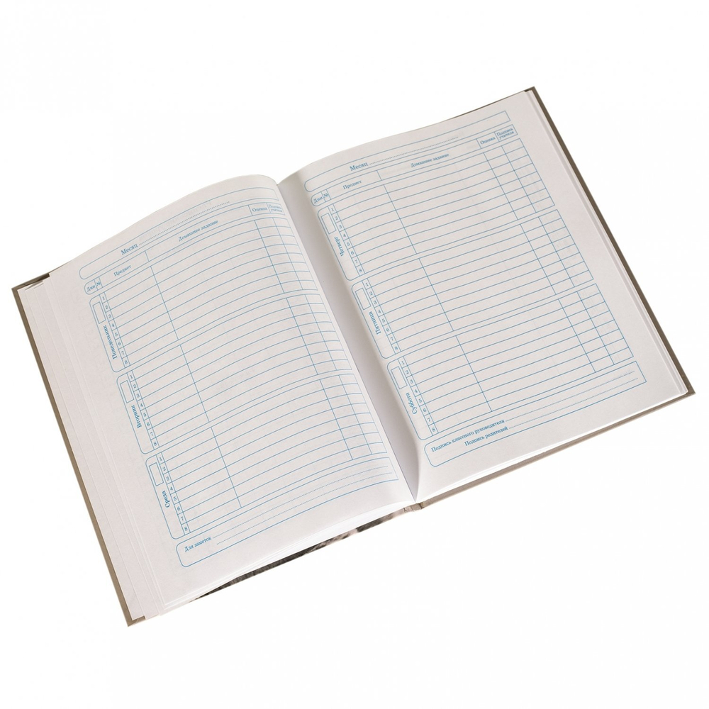 Дневник школьный Alingar 1-11 кл., 40л., 7БЦ, глянцевая ламинация, 17,0 см. * 21,6 см, "Bar code"