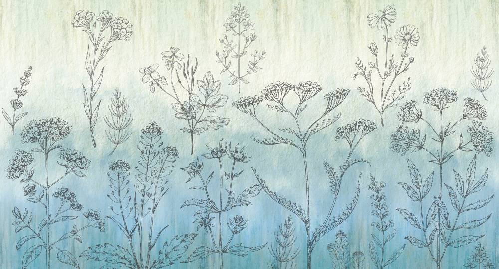 Коллекция Grafika Natura