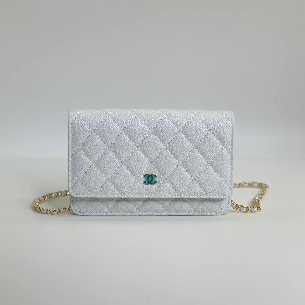 Сумка CHANEL 19 см