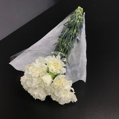 Гвоздика, 65 см пачка 20 шт.