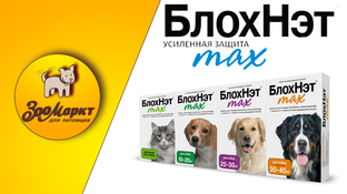 Акция препарат БлохНэт