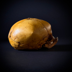 Маленький монстр