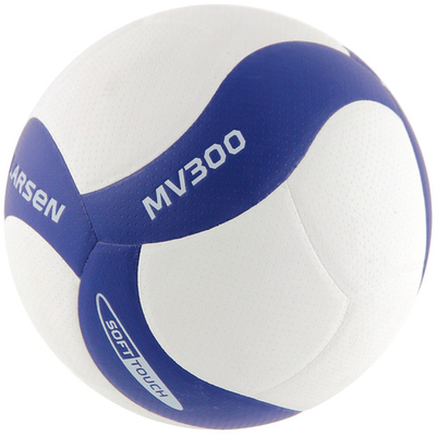 Мяч волейбольный Larsen MV300 белый/синий
