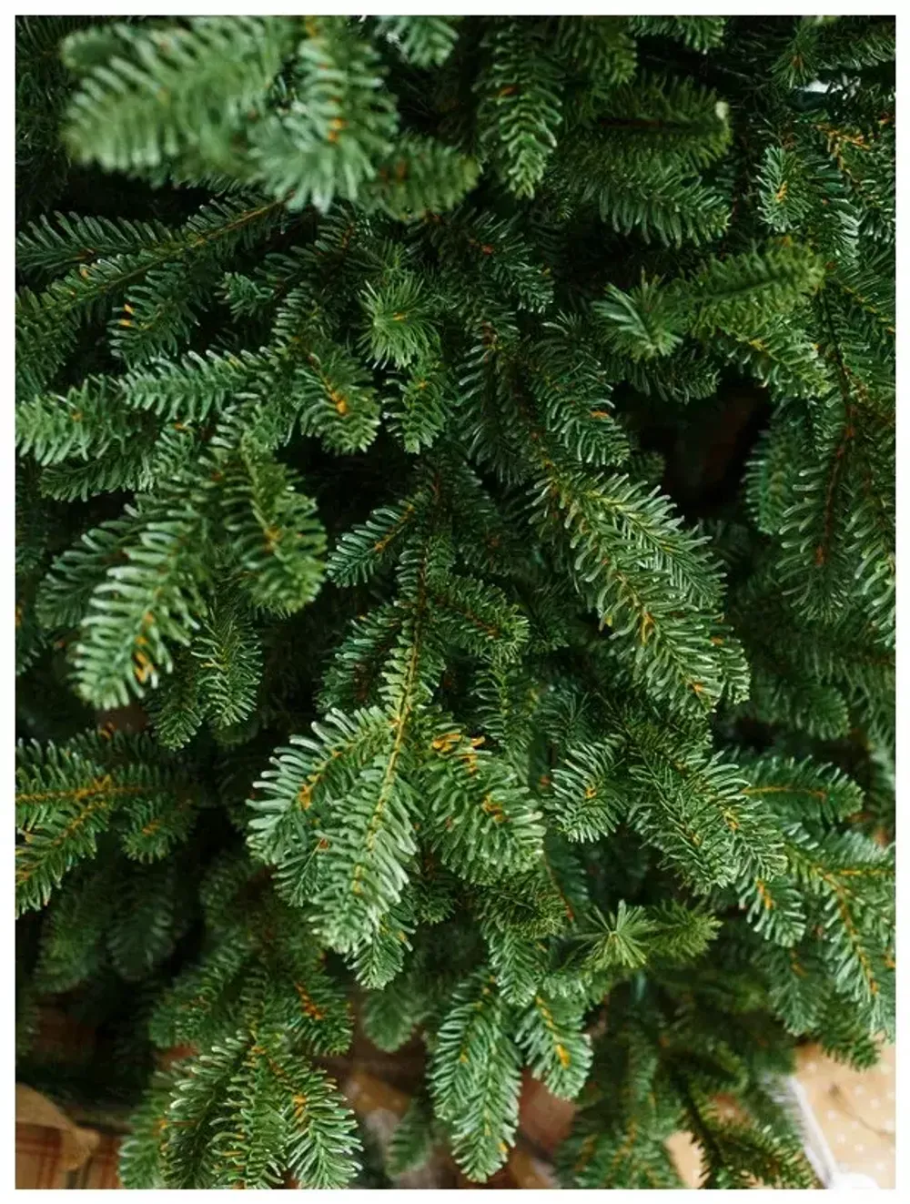 Искусственная ель «Монтерей» (Литая хвоя) от 1.5 до 2.4 м