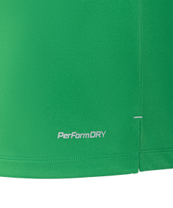 Футболка вратарская JÖGEL NATIONAL PerFormDRY GK Jersey, зеленый